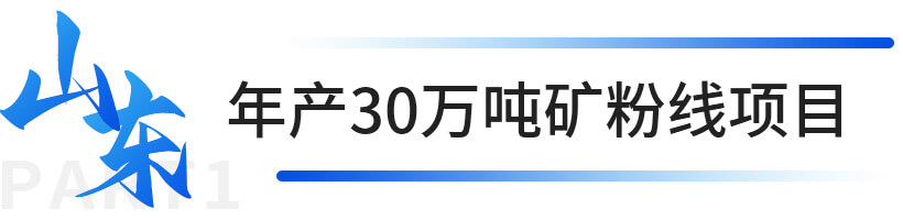 山東年產30萬噸礦粉線項目