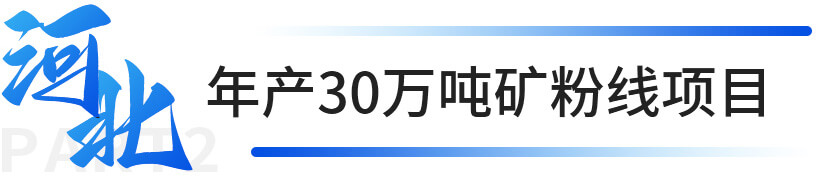 河北年產30萬噸礦粉線項目